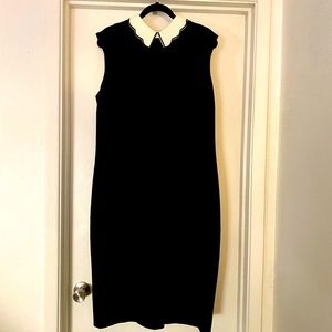 Eva Mendes NY&Co Sleeveless Work Dress w/ Collar, 18.